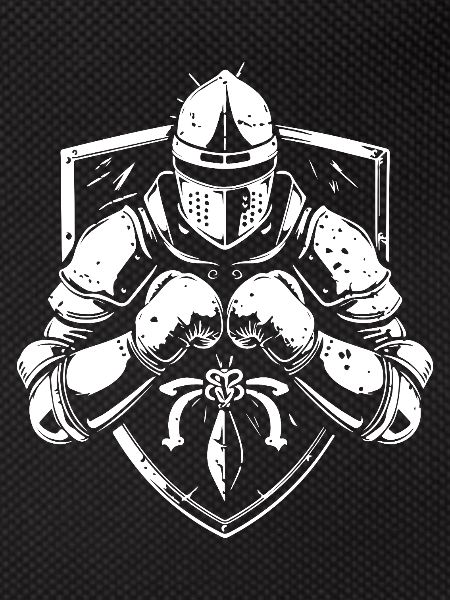 Knight Boxer Fighter