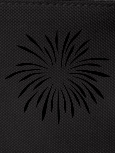 feuerwerk4