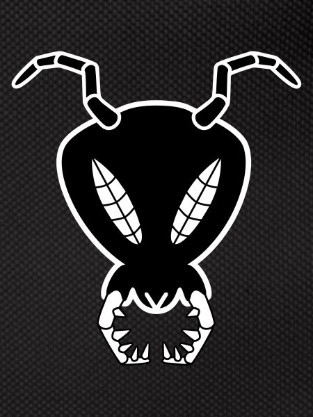 Antkuroeil