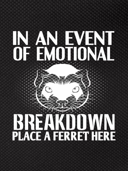 Ferret