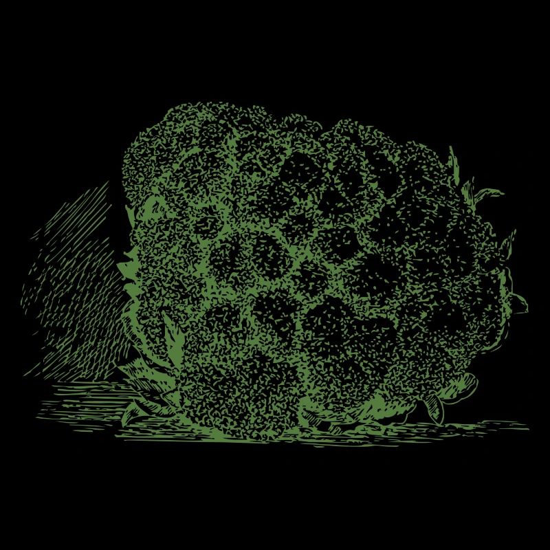 chou-fleur du chou-fleur légume Halloween
