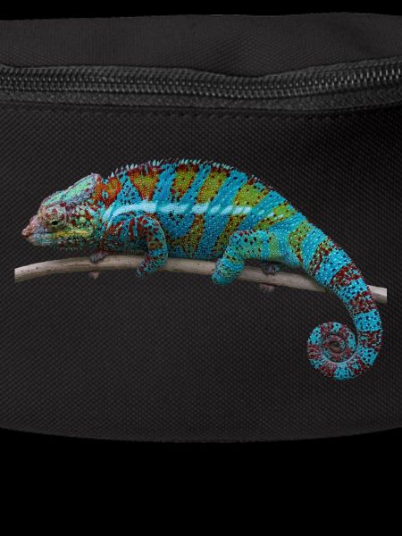 Chameleon - blue