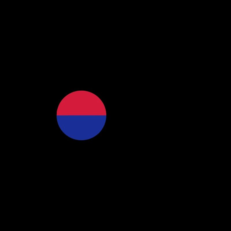 Hapkido / Hapkidoin / Martial Arts / Fight