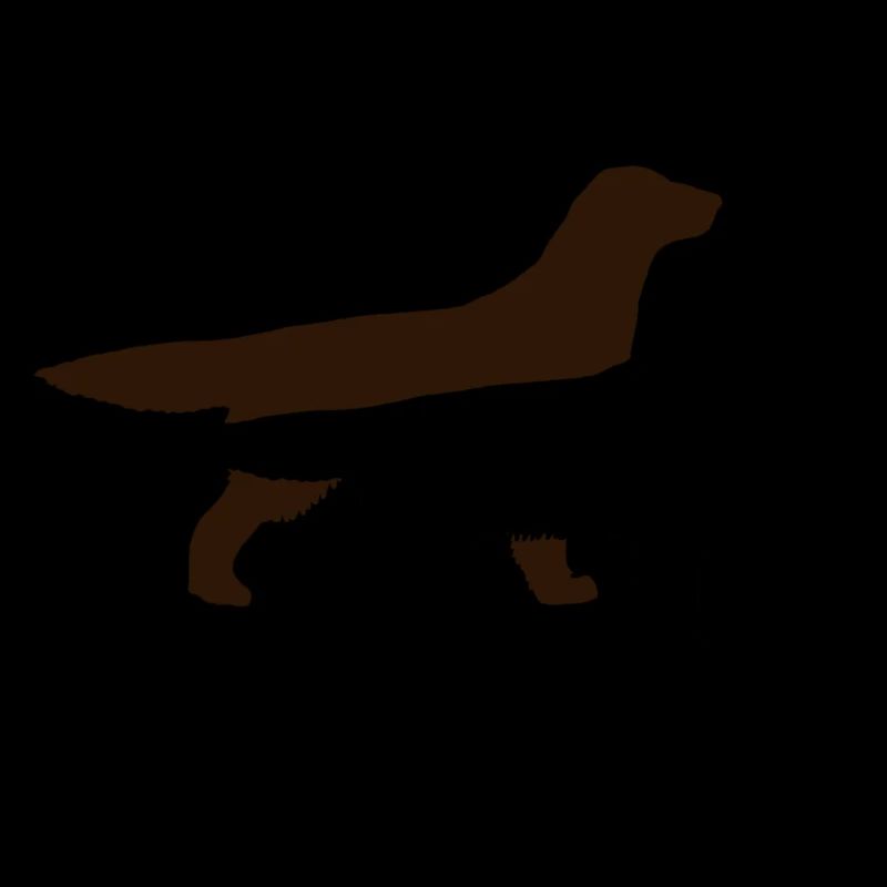 Flatcoated Retriever schwarz und leber