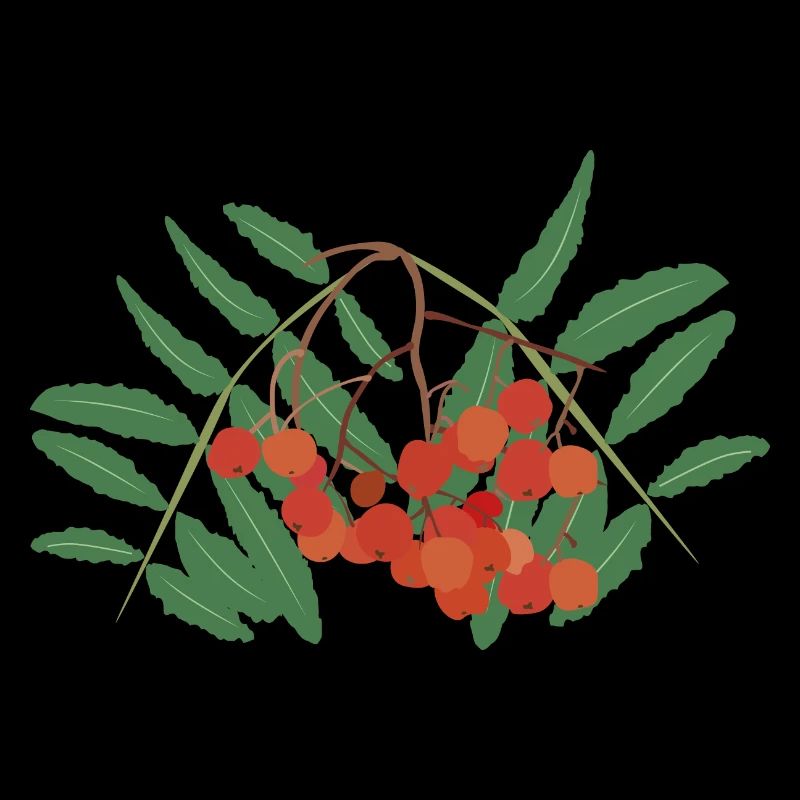 Rowan berries