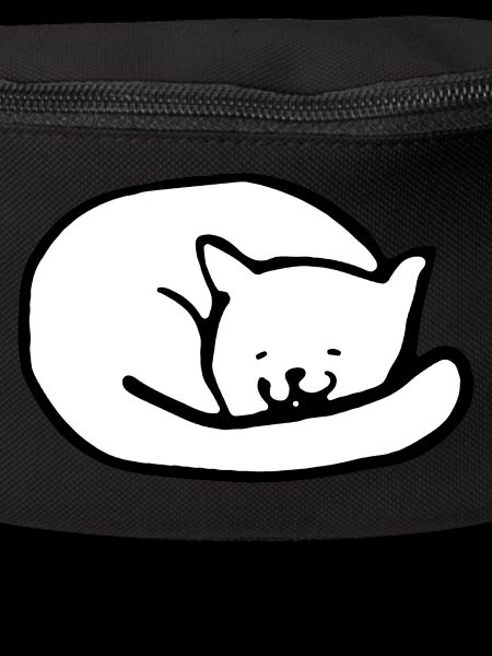 Chat mignon