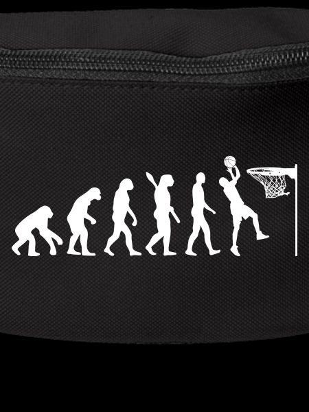 Evolution Basketball Game
