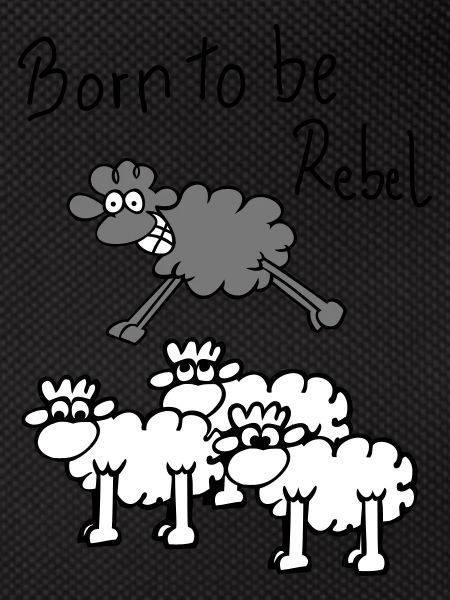 jumping sheep