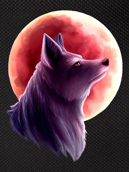 Wolf and blood moon