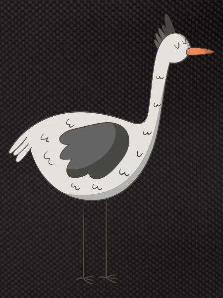 bird