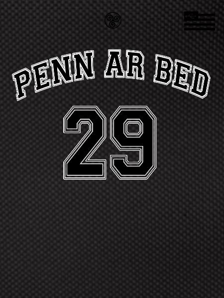 penn_ar_bed2