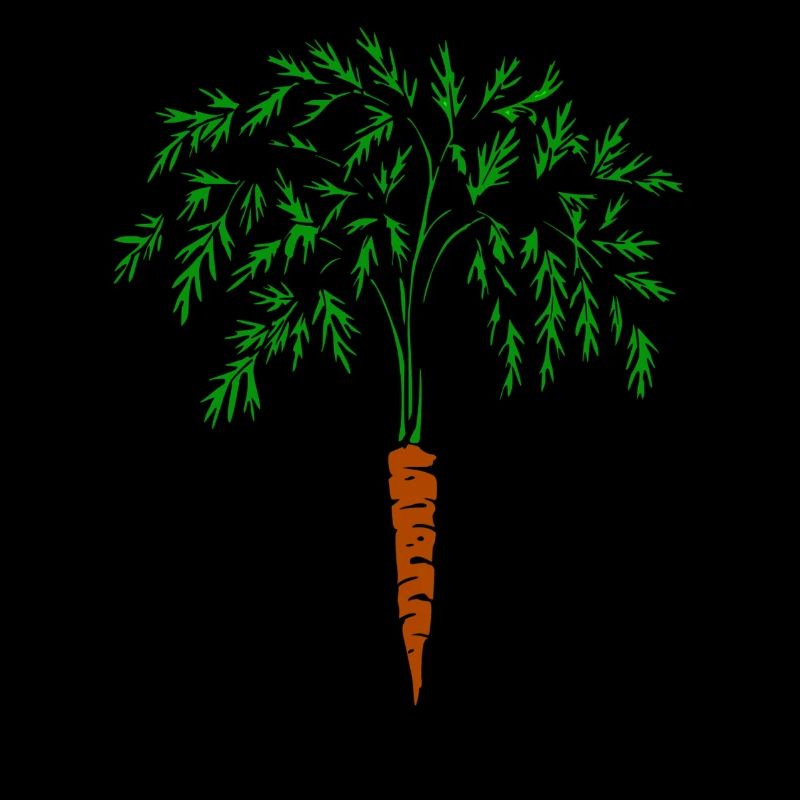carrot