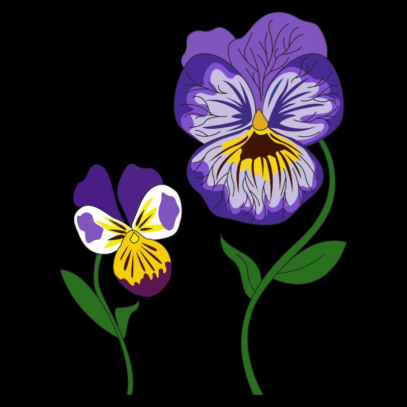 fleur violette