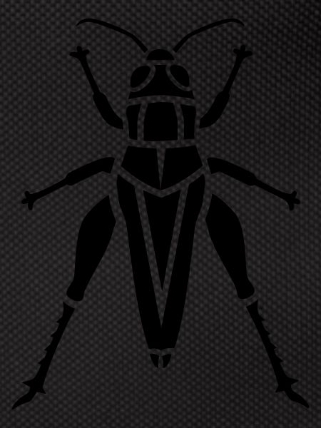 Insect - grasshopper