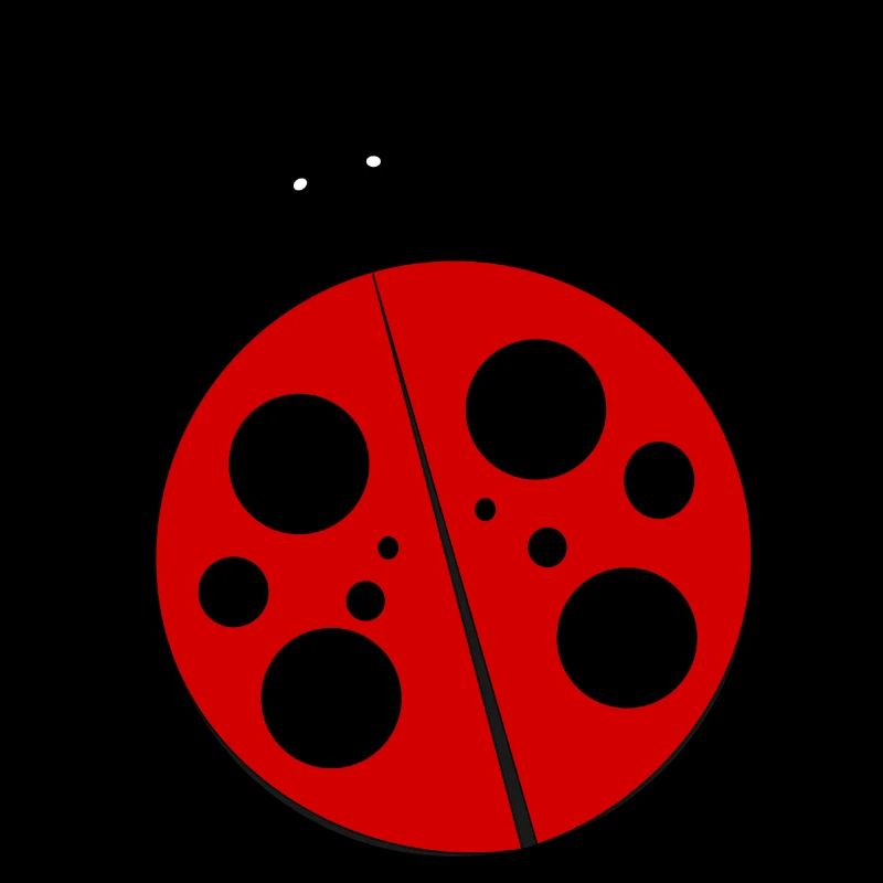 Marienkäfer
