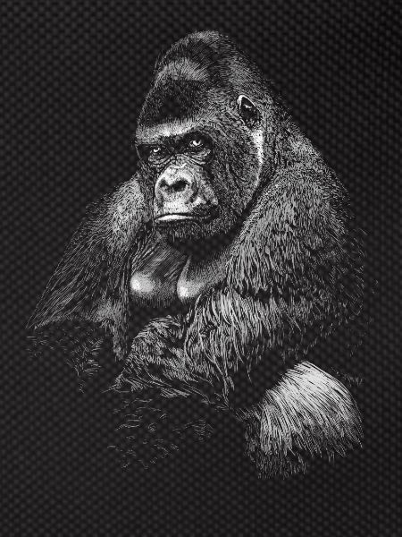 Gorilla