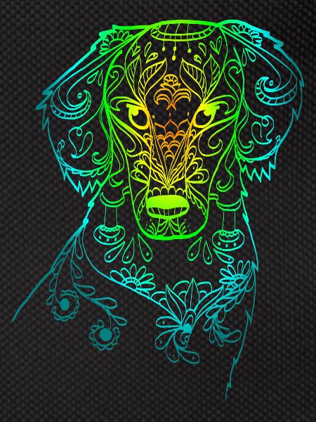 Rainbow Doodle Dog