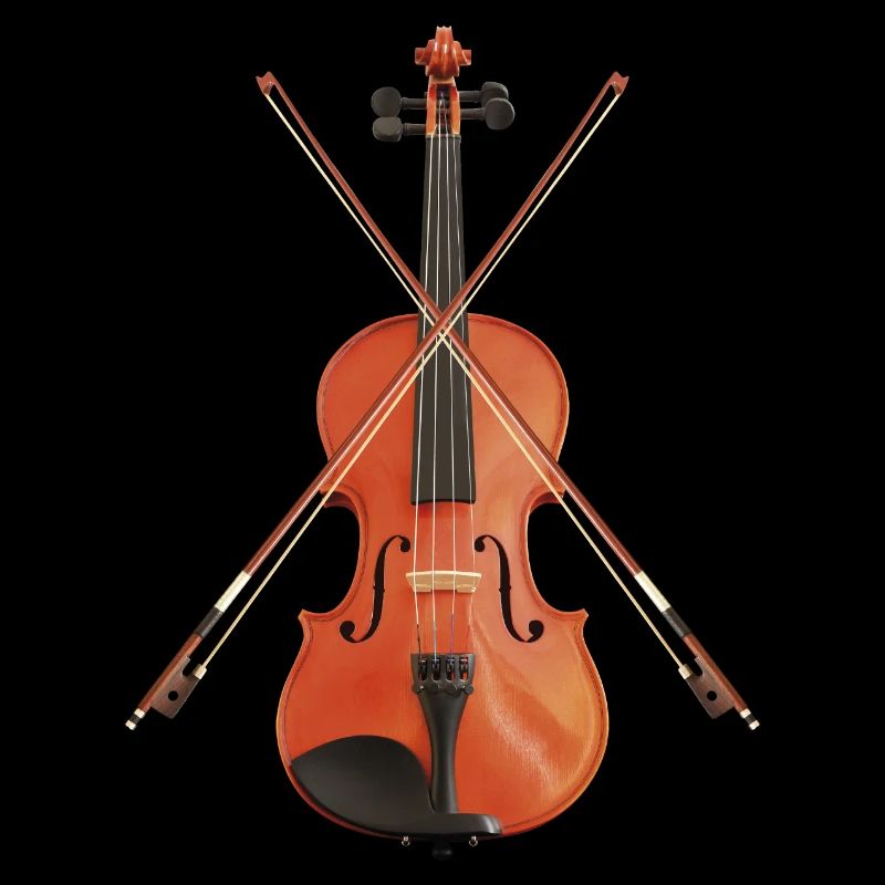 Violin with bows