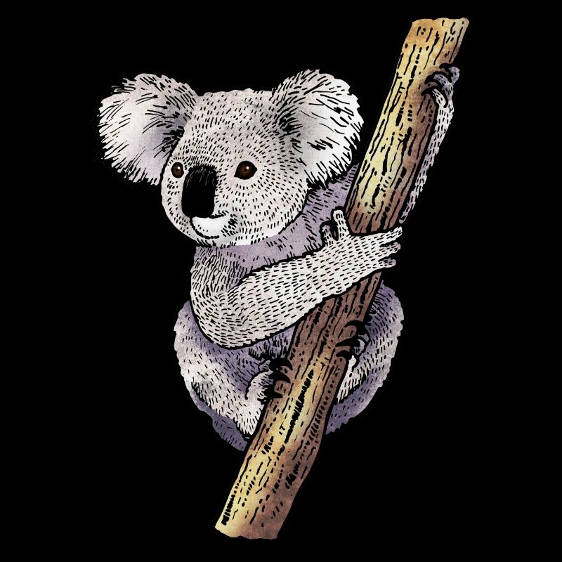 Koala 02