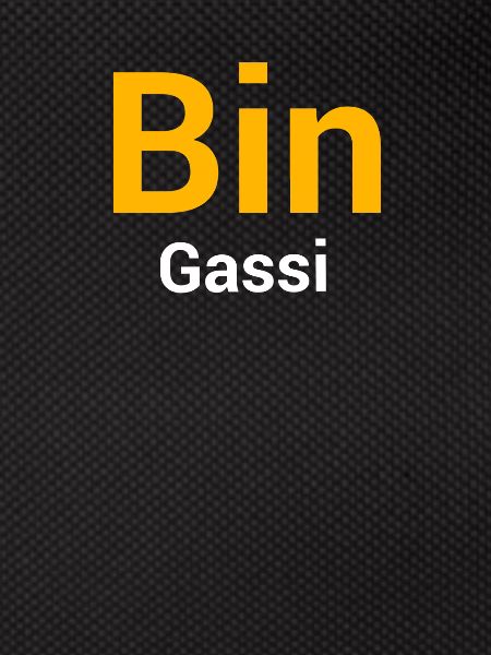 Bin Gassi