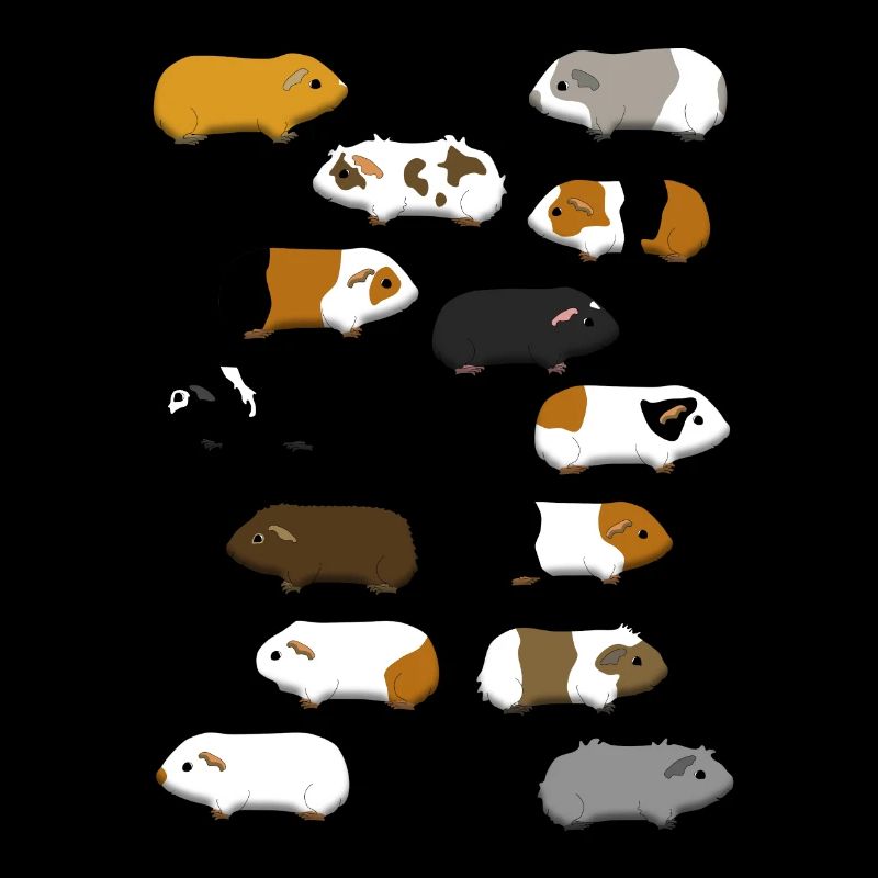 14 cochons d'Inde