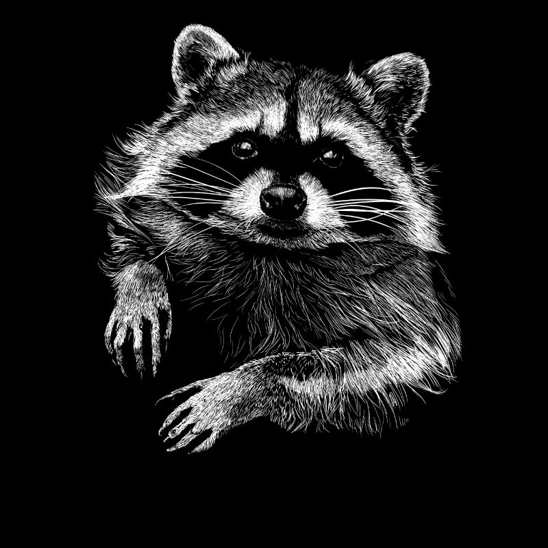Waschbär