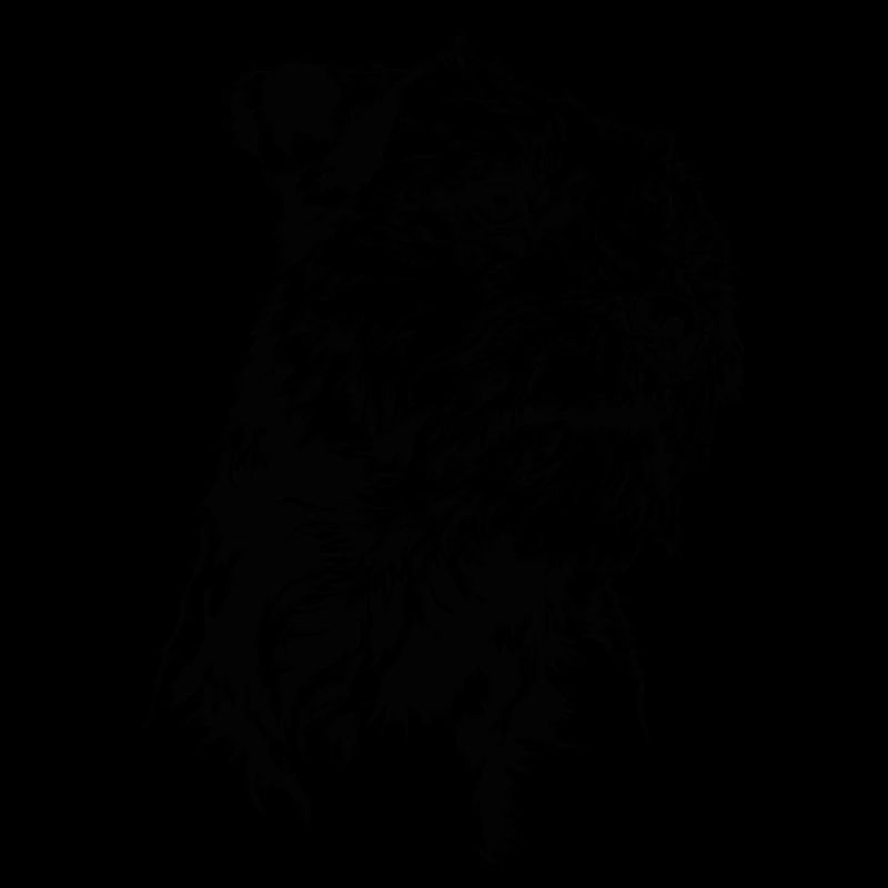 BORDER TERRIER Chien Chien Wilsigns