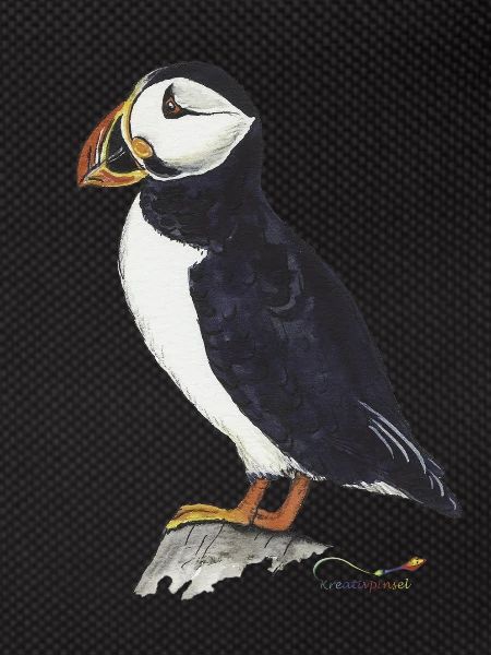Puffin