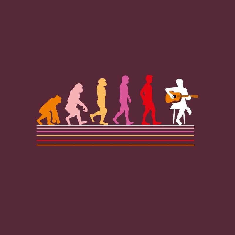 ÉVOLUTION DE LA GUITARE