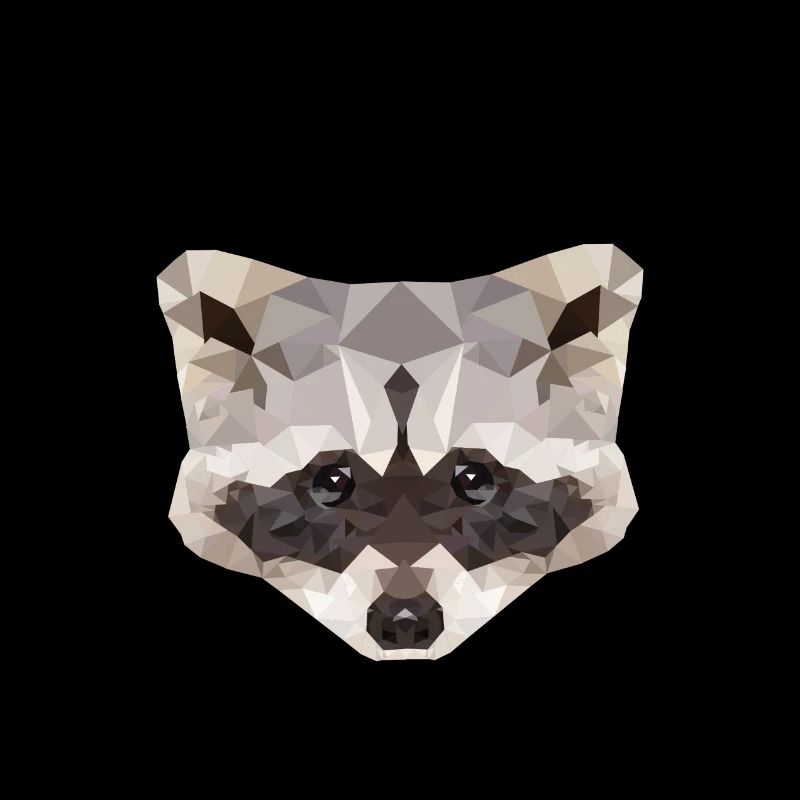 Waschbär Polygon