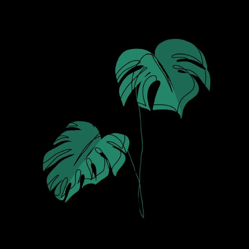 Monstera, Linéaire, plan, plante, Leaf, Minimal