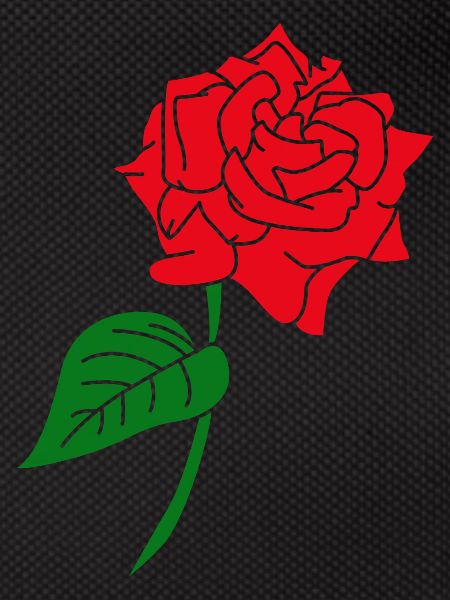 Red Rose