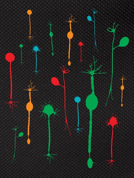 Neurons tetrad
