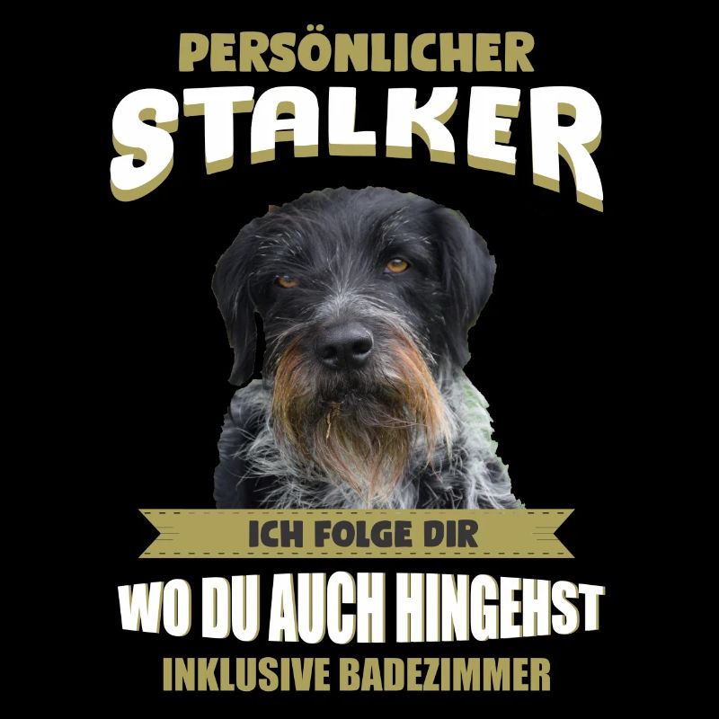 Deutsch Drahthaar Hund - Deutsch Drahthaar