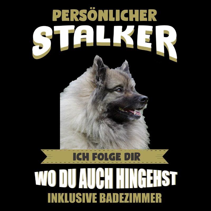 Wolfsspitz Hund - Wolfsspitz