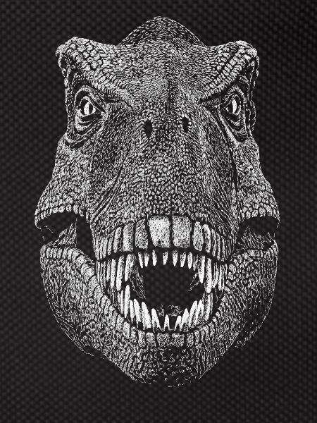 Dinosaur