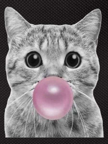 Chat bulle