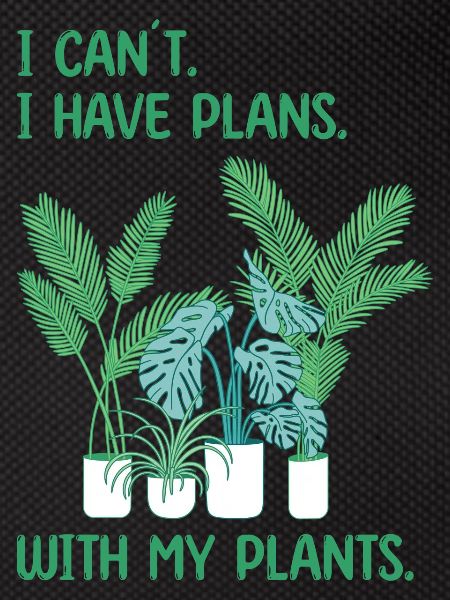 Houseplants