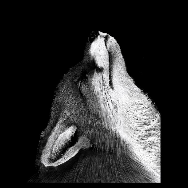Fuchs