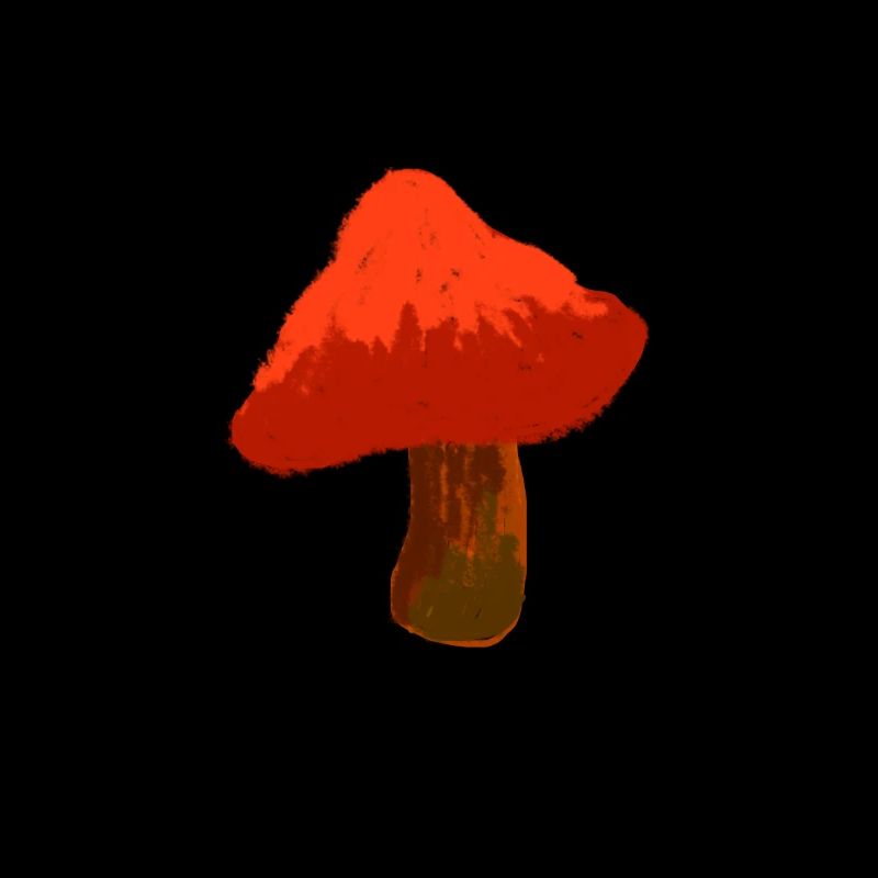 Cool gift for mushroom pickers