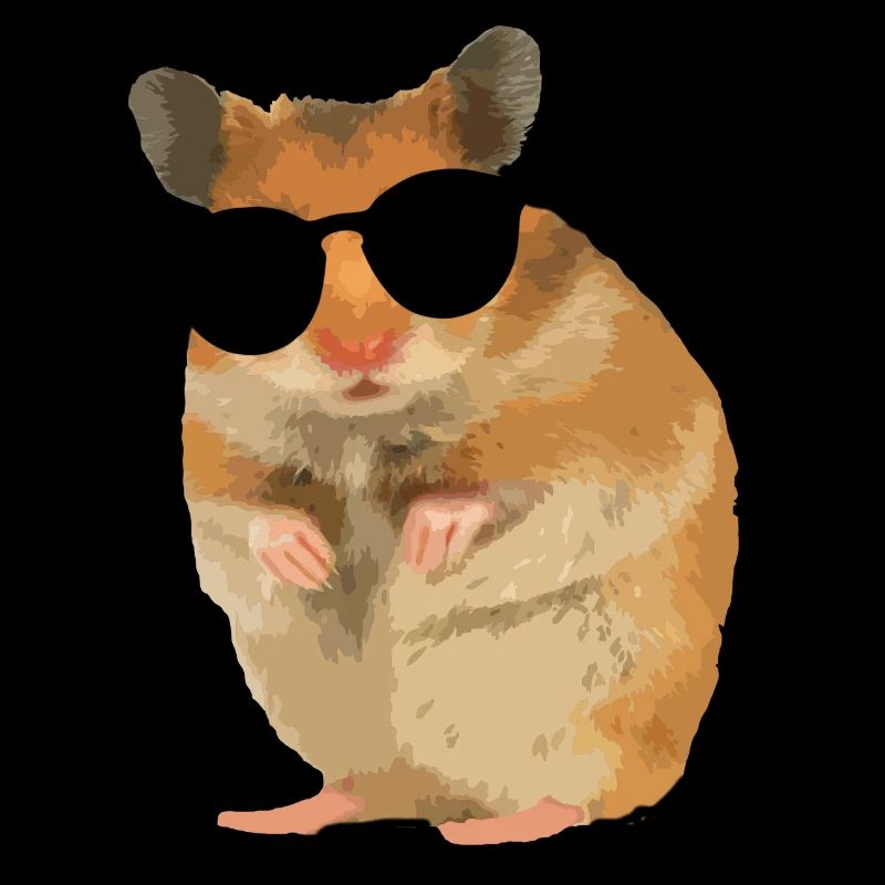 Hamster Menno avec des lunettes de soleil cool