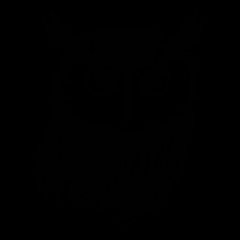 Eule Eulen Vogel Vögel