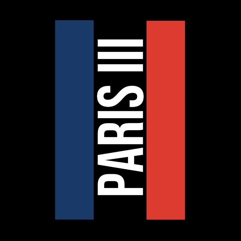 The Fancy Paris Pullover Hoodie