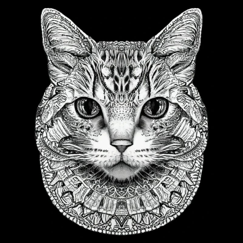 CHAT STYLISÉ MANDALA
