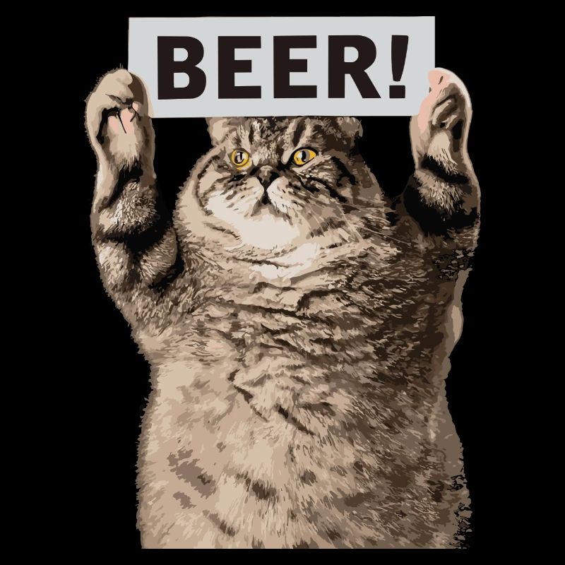 Bier Katze