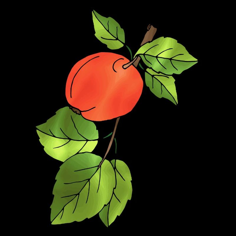 Pomme