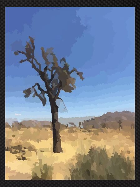 Joshua Tree