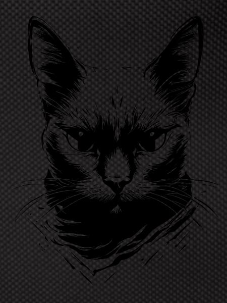 Black Cat