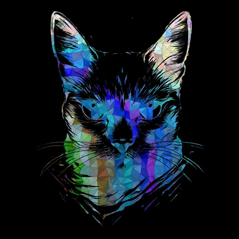 Chats colorés