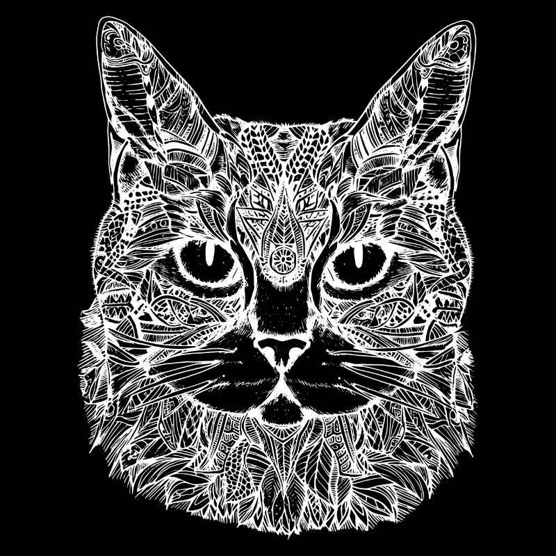 Chat, Motif De Chat, Visage De Chat